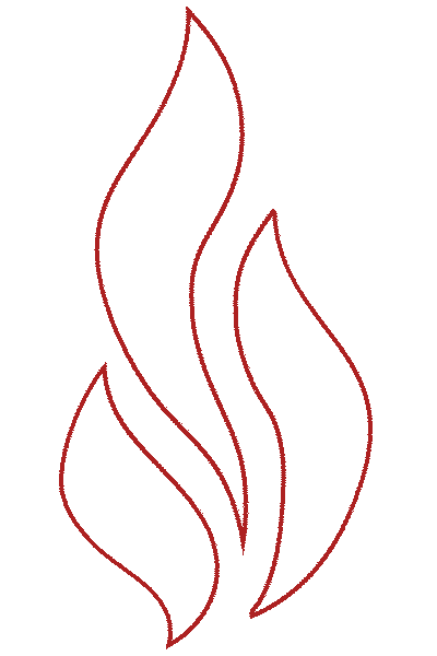 FireGold - Pavel Marian Škvor